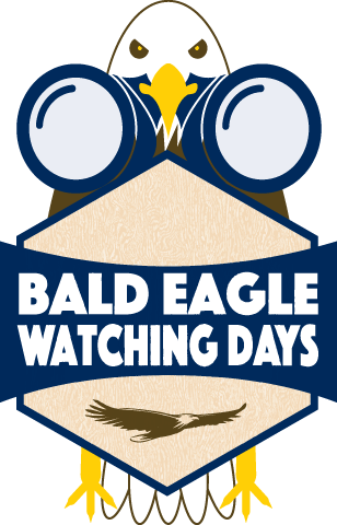 Bald Eagle Watching Days